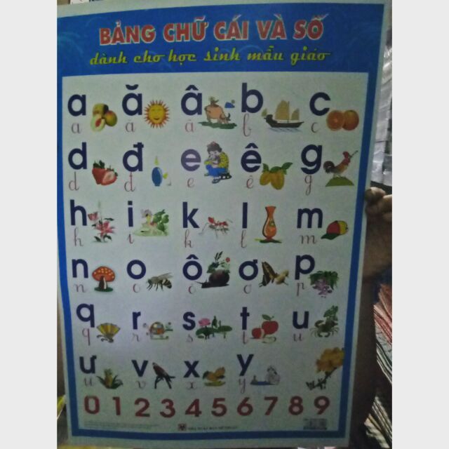 Bảng chữ cái bìa giấy to 5k.
