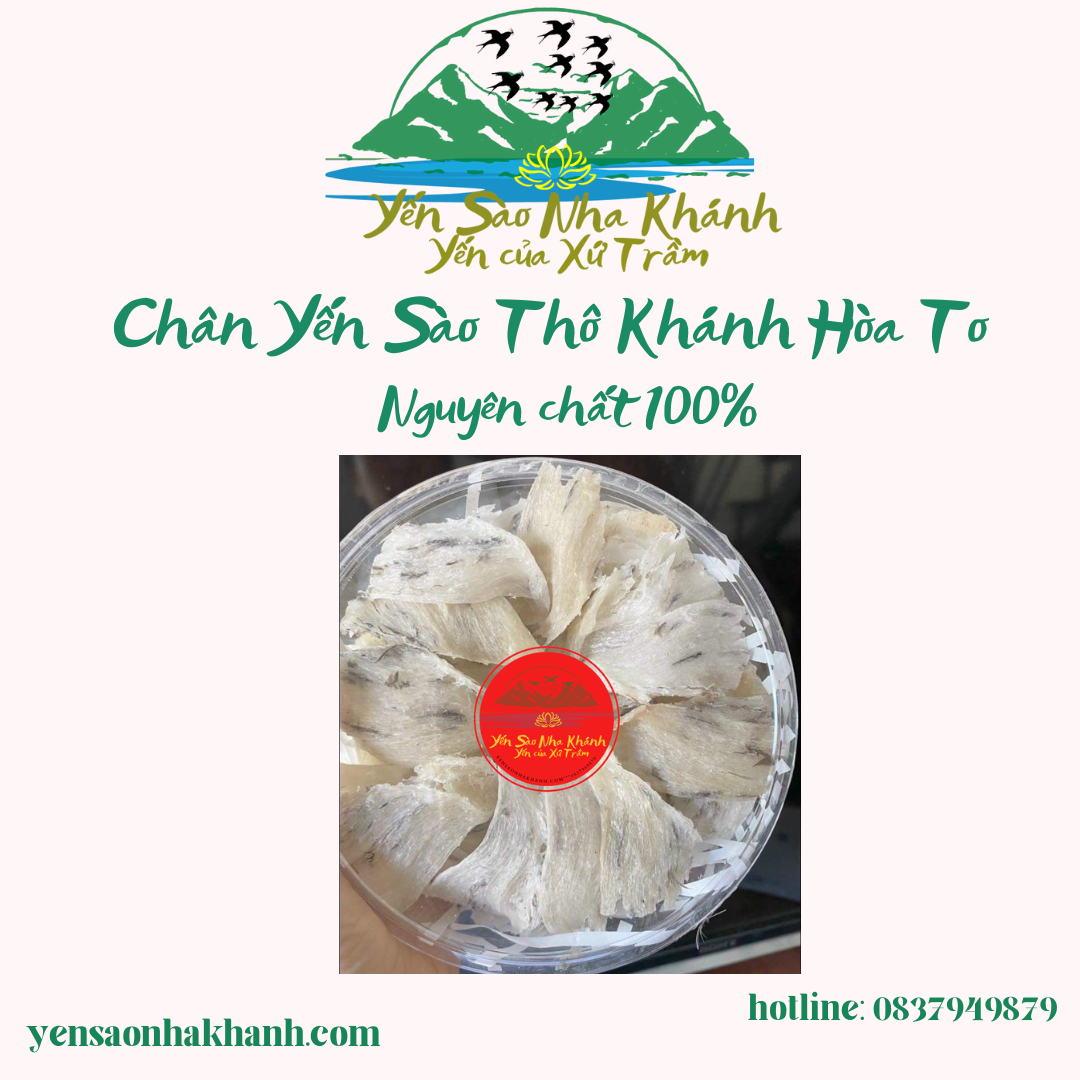 Chân tổ yến sào thô khánh hòa nguyên chất loại to + quà tặng