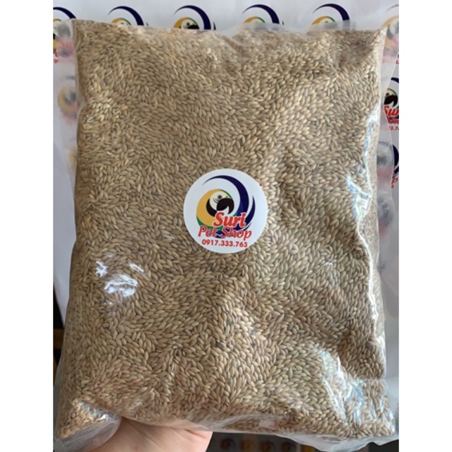 [HCM]Hạt láng Bỉ gói 1kg