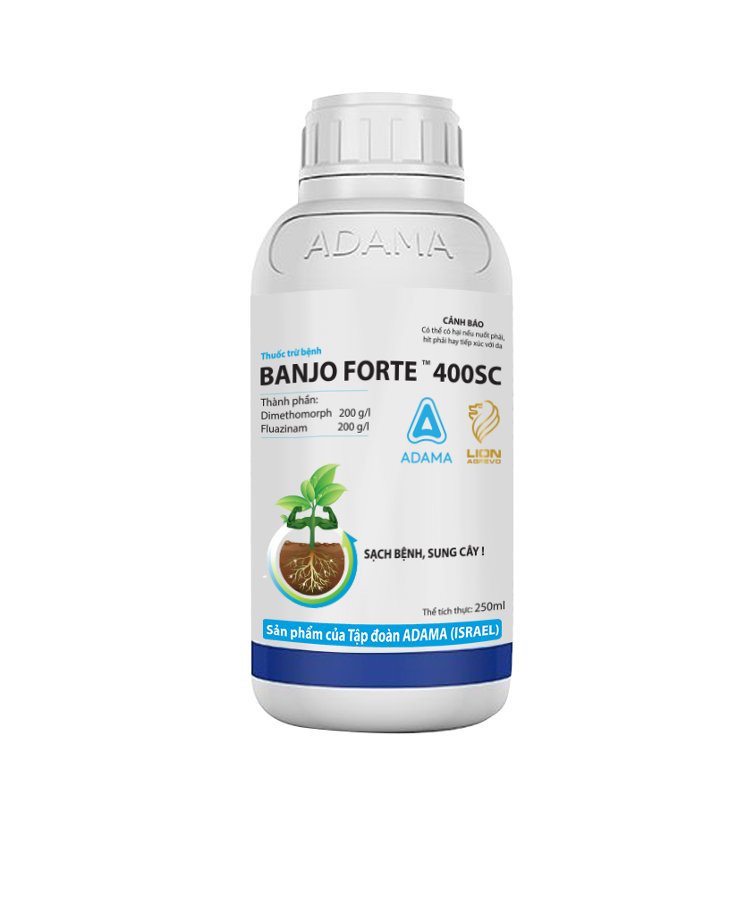Phòng trừ sương mai, giả sương mai, thán thư hại cây trồngBANJO FORTE 100ml