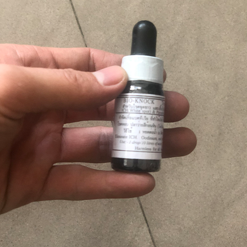 TÍM BIO-Knock số 2