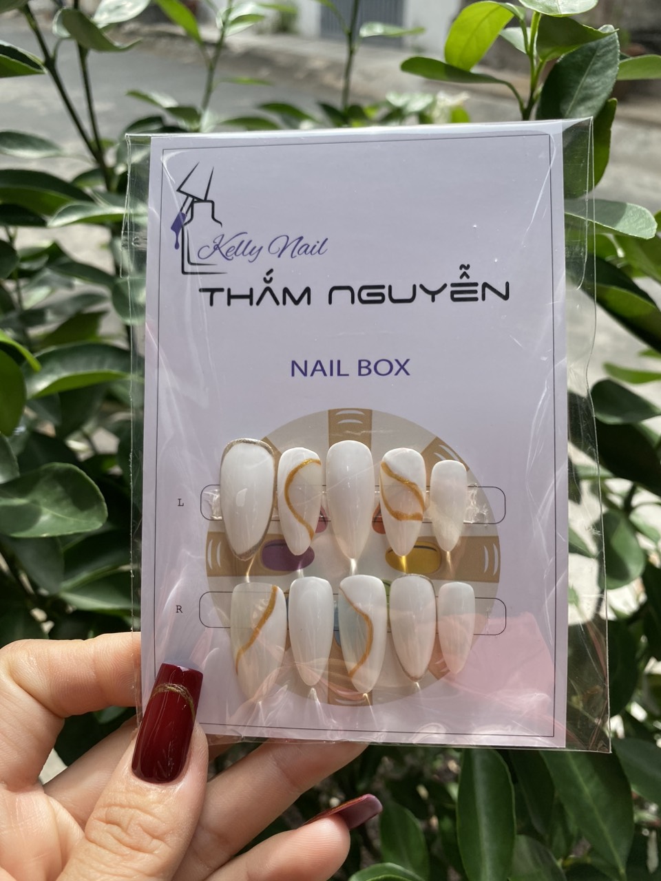 Nail box dòng nail thiết kế