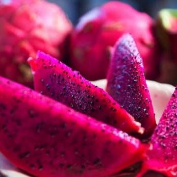 FREESHIP Thanh Long Đỏ Sấy Khô, Hoa Quả Detox Trái Cây Thanh Nhiệt, Pha Trà Hoa Quả