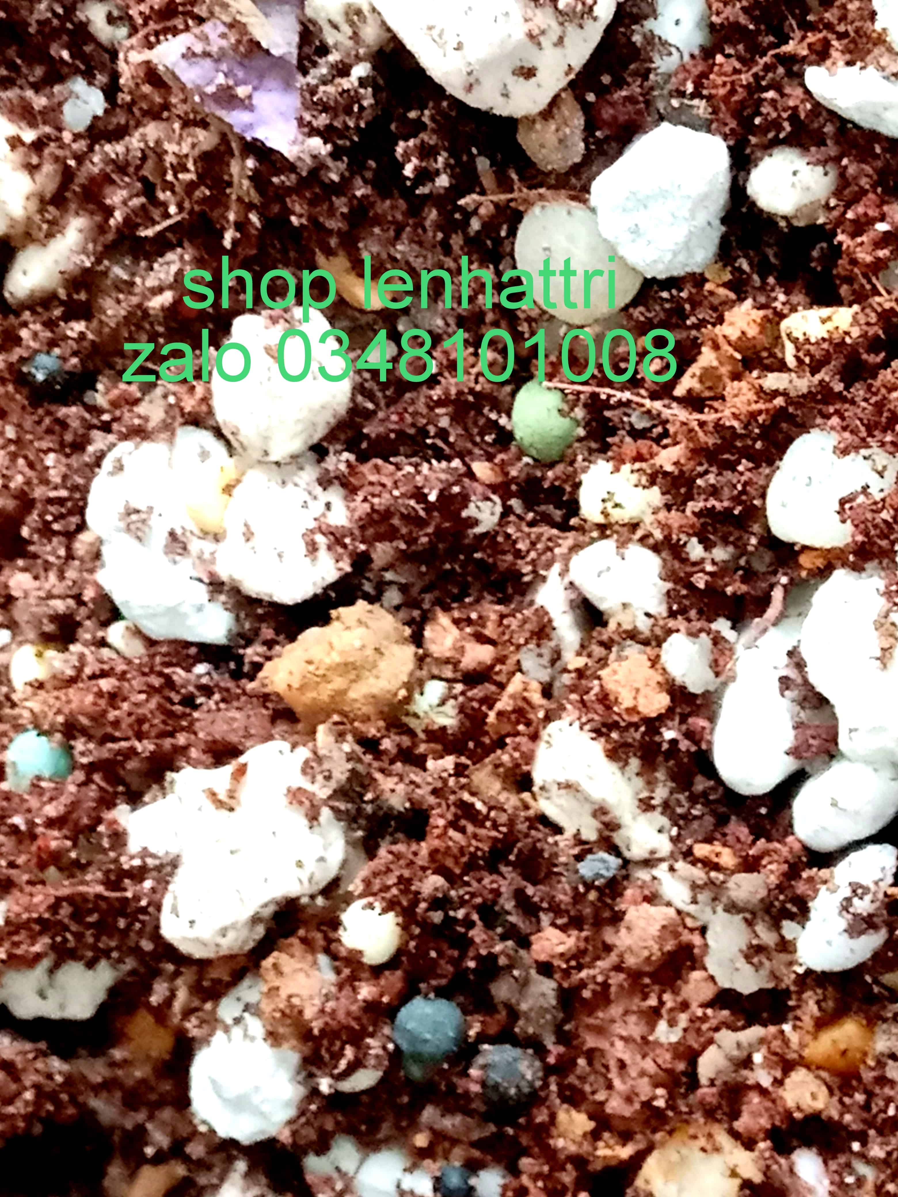 [HCM]Đất trồng sen đá xương rồng 1kg