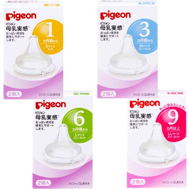 NÚM PIGEON NỘI ĐỊA