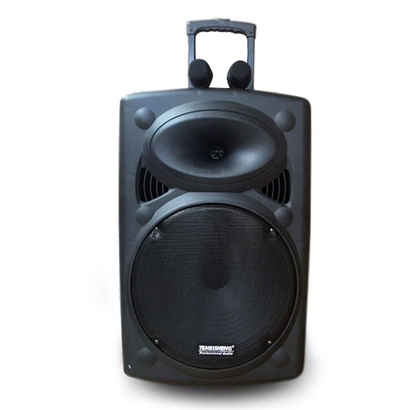 Loa kéo temeisheng la 015 bass 40cm tặng 2 mic cầm tay