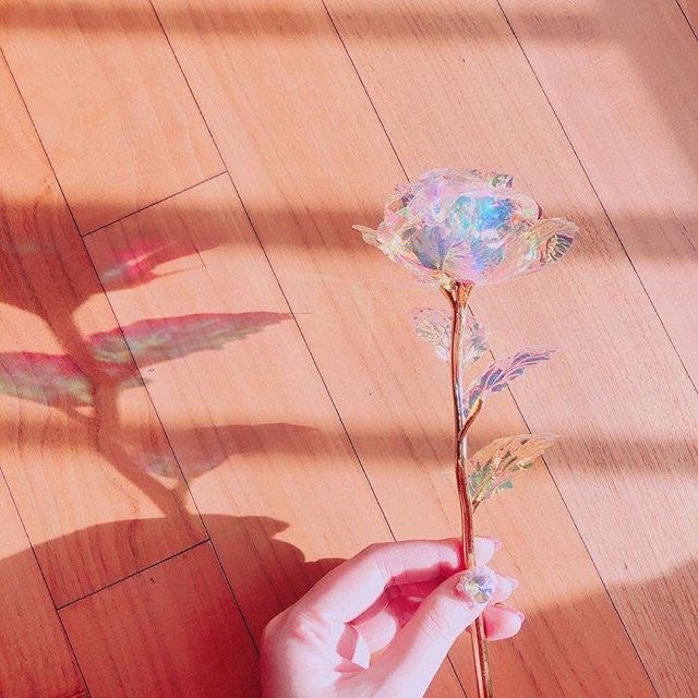 Hộp hoa hồng hologram quà tặng ngày lễ 8/3, 20/10, sinh nhật, valentine 14/2 - có đèn