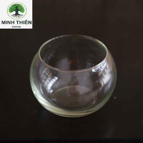 [HCM]Bể Cá Thủy Tinh Cẩm Đạt Bầu Hồ Cá D24CM * H16CM T02