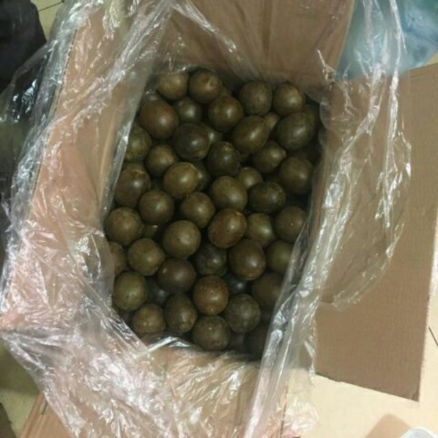 La hán quả gói 1kg khoảng 65 quả ngọt quả to