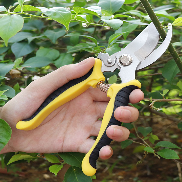 Kéo cắt tỉa cành cây, kìm tỉa cây cao cấp