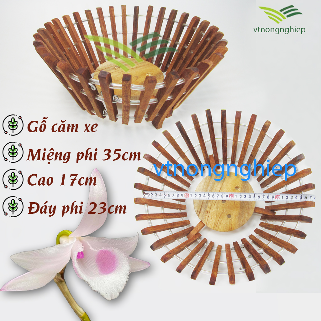 Chậu gỗ trồng lan, gỗ Căm Xe phi 35cm, mẫu vát nghiêng, chậu trồng hoa lan size lớn, gỗ cứng, lâu mục, chịu lực tốt.