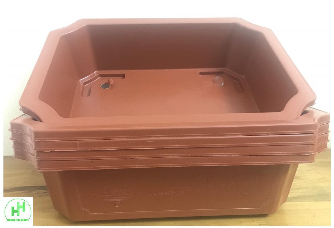 5 Chậu Nhựa Trồng Cây Mini Hình Chữ Nhật Màu Nâu Siêu Đẹp Kích Thước 350x255x90 - Sản xuất bởi NHỰA BÌNH THUẬN