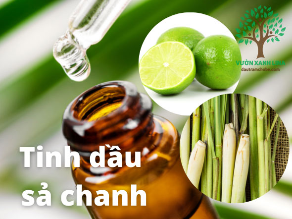 Tinh dầu Sả Chanh đậm đặc