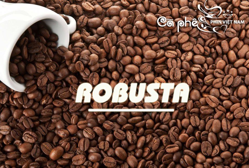 1kg cà phê robusta + culi nguyên chất tỉ lệ 5:5