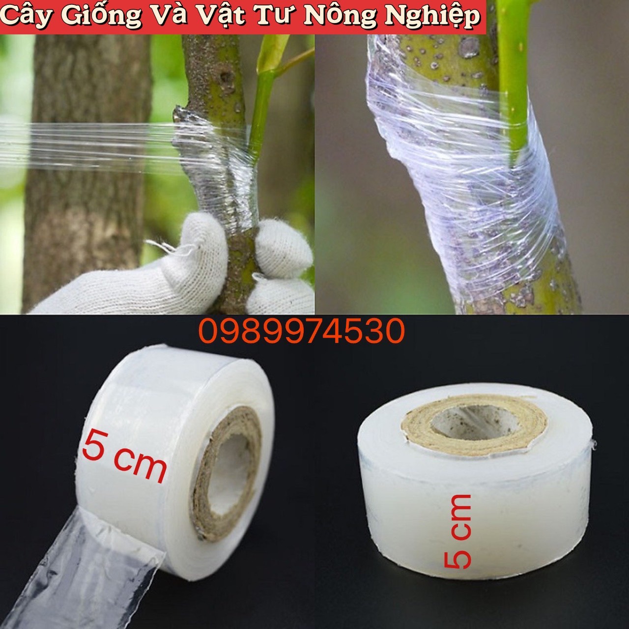 Nilong ghép cành, giấy ghép cây tự hủy khổ 5cm
