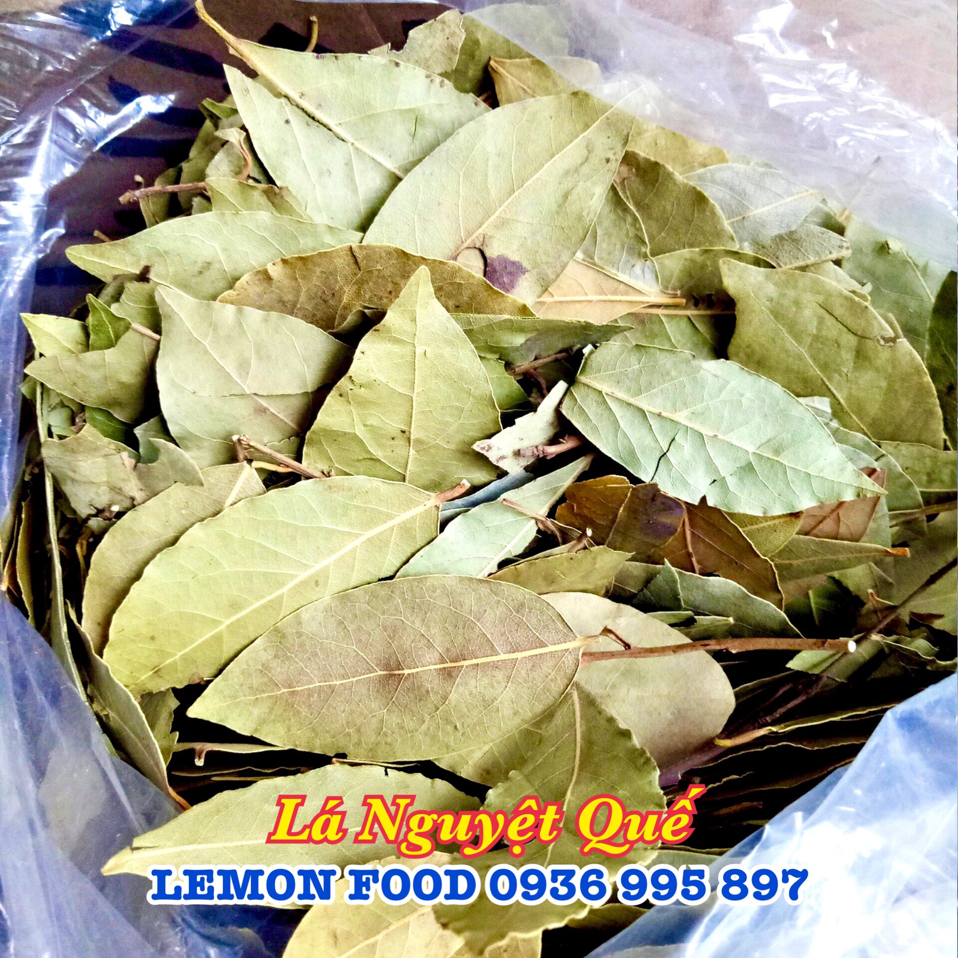 1Kg Lá nguyệt quế khô - Lá thơm/ Bay Leaf - Gia vị cho món Âu, ngâm gà ủ muối, bò kho, thịt nướng