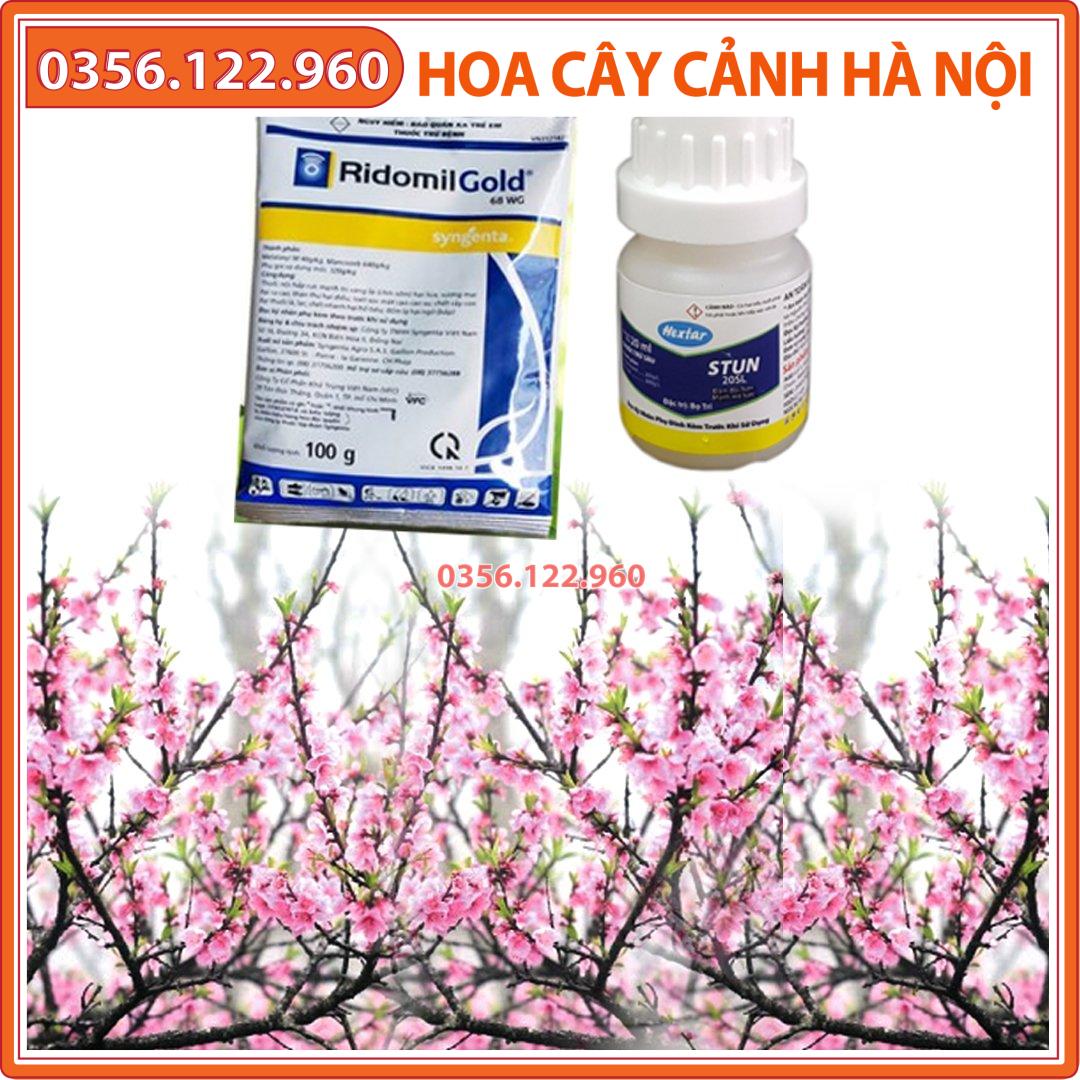 combo chế phẩm BỌ TRĨ - RỆP - nấm bệnh cho cây trồng (Stun, redomin)