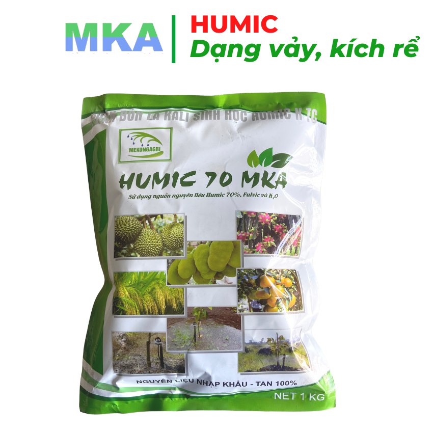 Kích rễ cực mạnh nảy mầm đâm chồi vọt đọt xanh cây