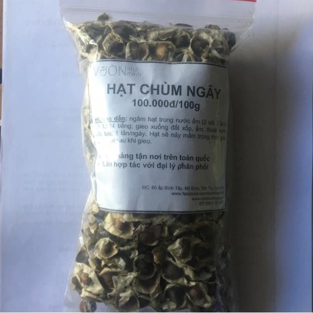 100g hạt giống chùm ngây