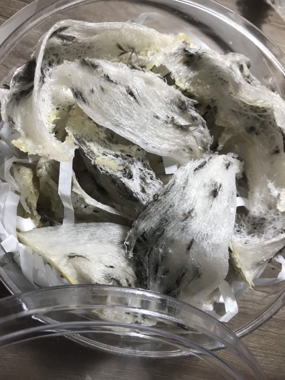 Yến thô nguyên tổ - nhà yến 151farm