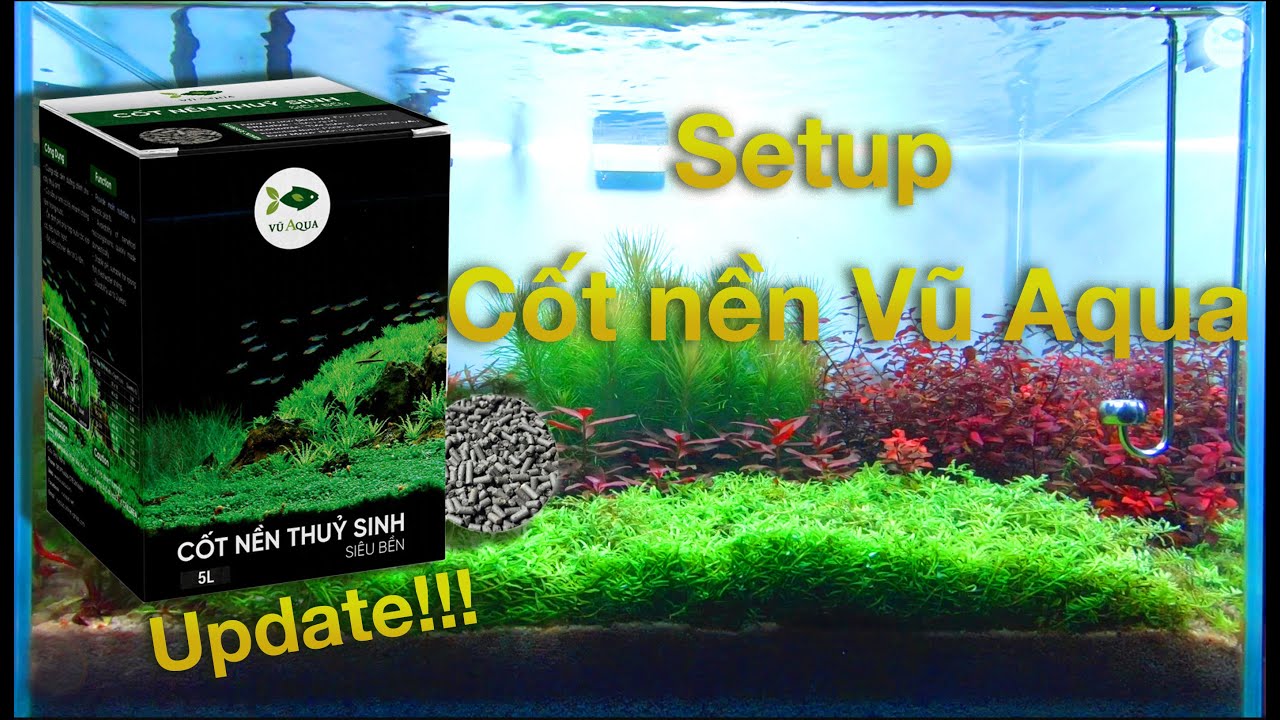 Cốt nền thủy sinh Vũ Aqua - Cốt nền cho hồ cá cảnh thủy sinh