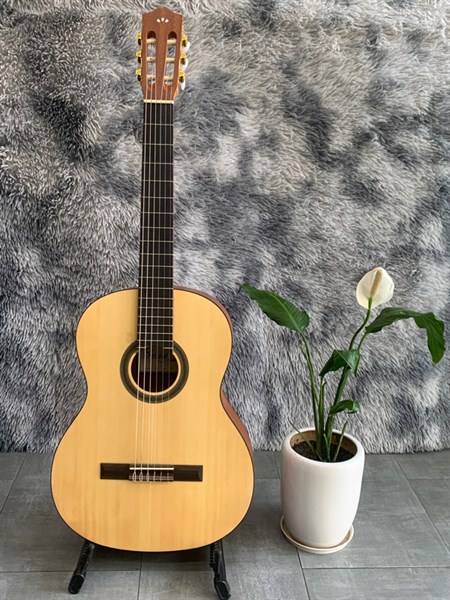 Đàn Guitar Classic Cordoba C1M