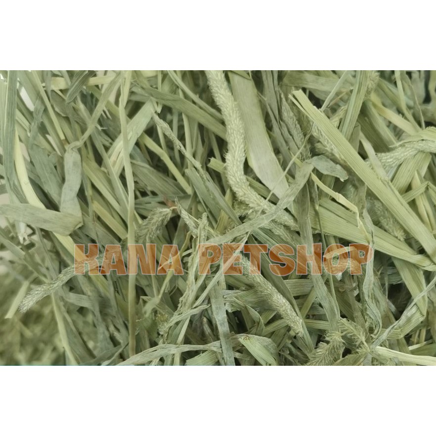 Cỏ Timothy 🐹FREESHIP🐹 5KG Cỏ Timothy Siêu Tiết Kiệm Xanh Thơm Siêu Ngon Dành Cho Thỏ Và Bọ.