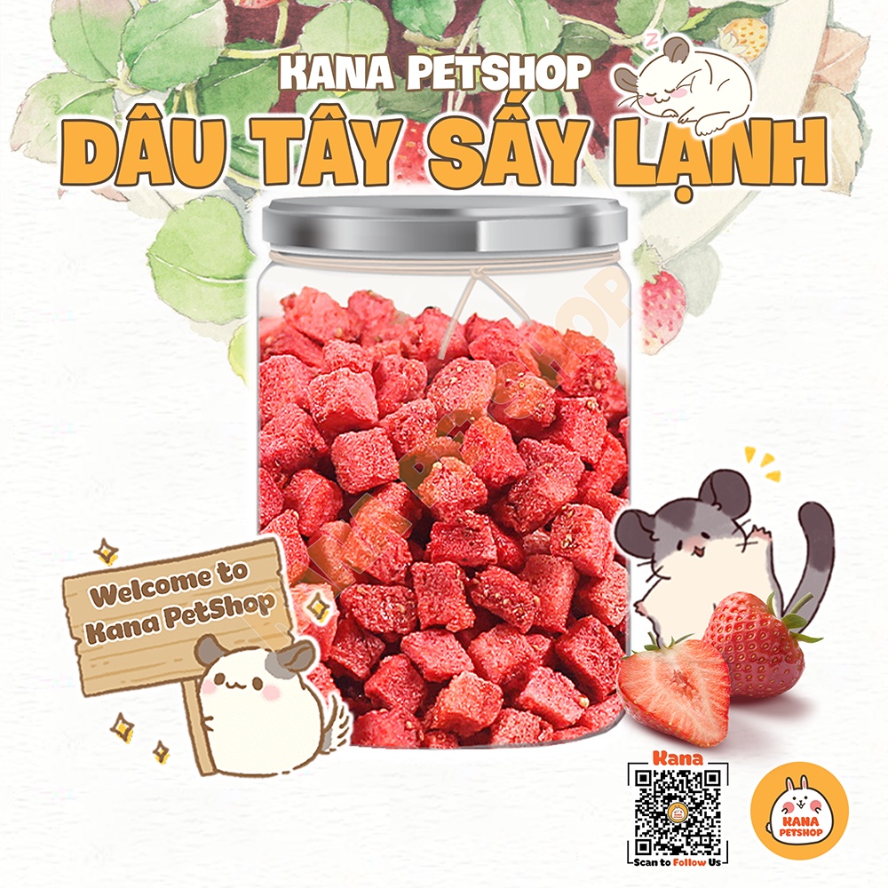 Dâu tây sấy hamster đồ ăn vặt dâu tây sấy lạnh . 15gram thức ăn dặm cho hamster
