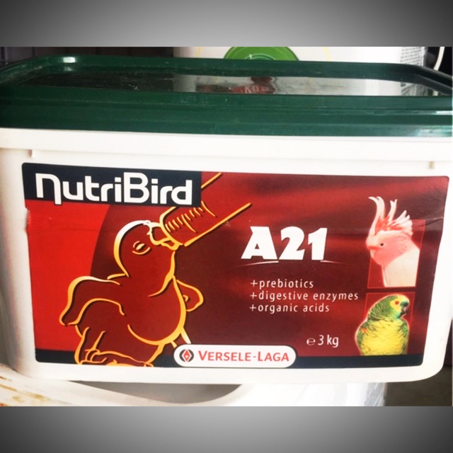 [HCM]Bột A21 cho ?? chim vẹt gói 100gr - A19