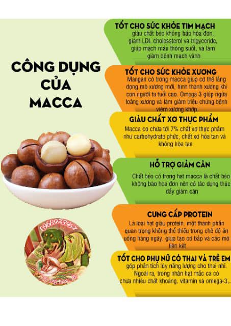 Macca đak lak sấy loại 1 - size đại mcđ01