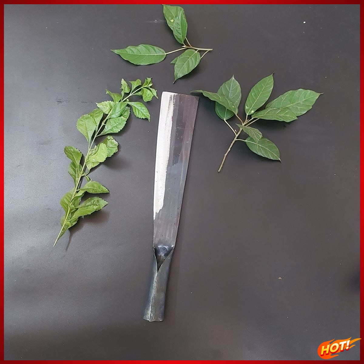 Dao sashimi thái lát cá hồi cao cấp XẢ KHO