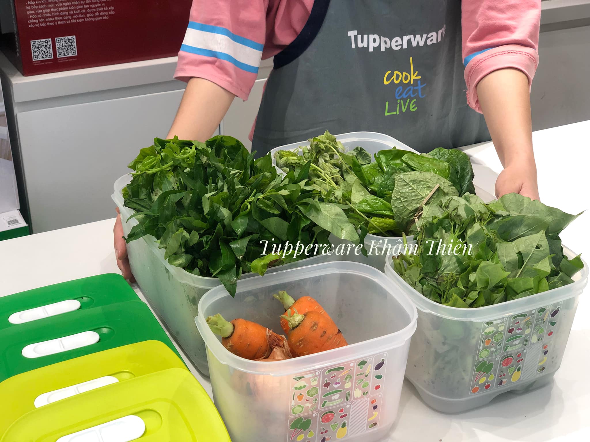 Bộ hộp trữ mát có nút hô hấp Tupperware Ventsmart 4 hộp