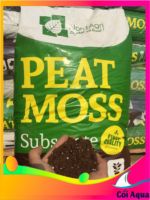 Peatmoss, chất mùn hữu cơ cao cấp duy trì độ ẩm cho cây tiểu cảnh, bán cạn, trồng lan, sen đá