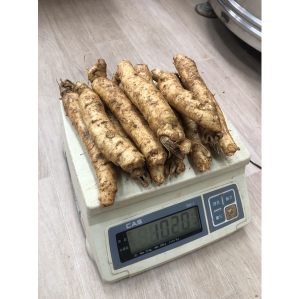 Sâm trọc ngâm mật ong, sâm tươi hàn quốc 10-14 củ/1kg
