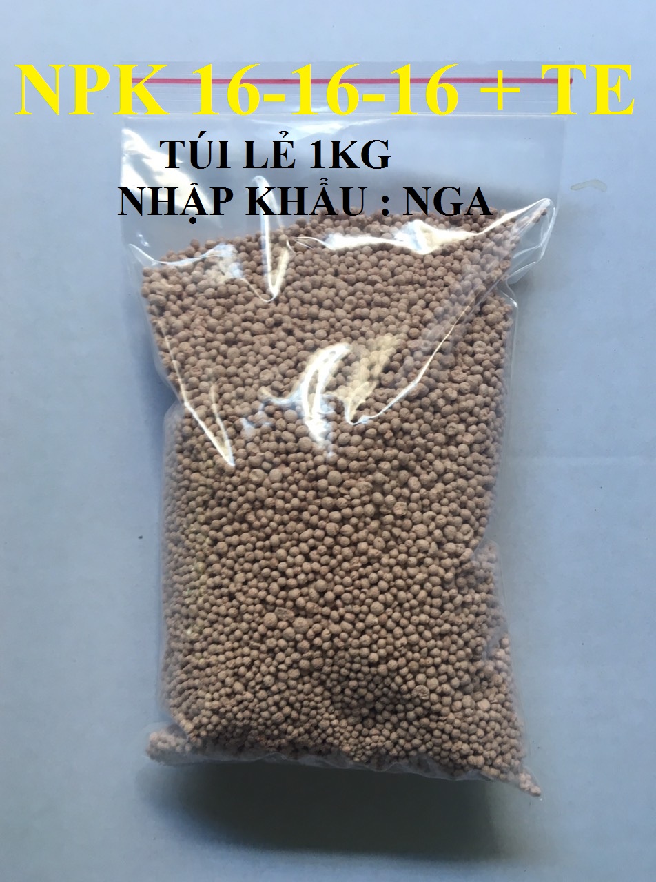 Npk 16-16-16 + te nhập khẩu nga