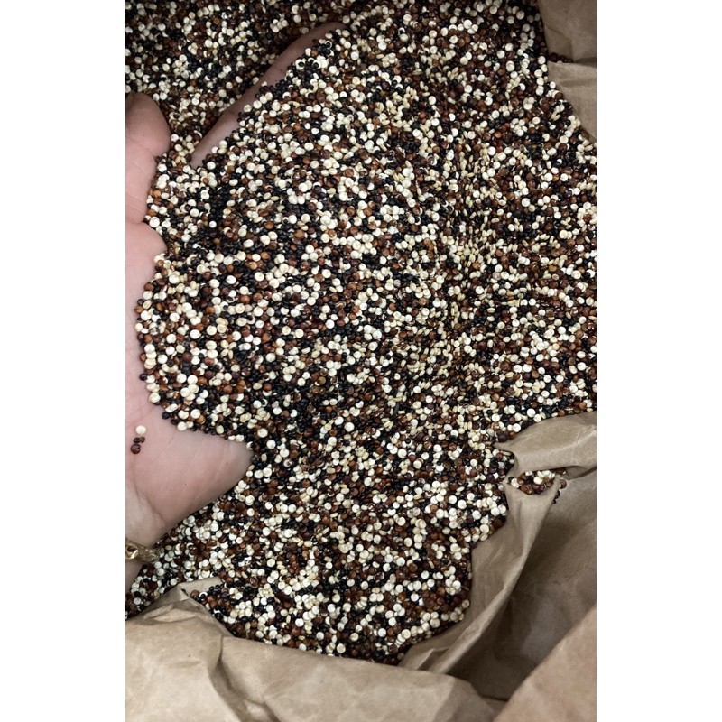  500g Quinoa mix 3 màu hữu cơ  trắng- đỏ- đen  