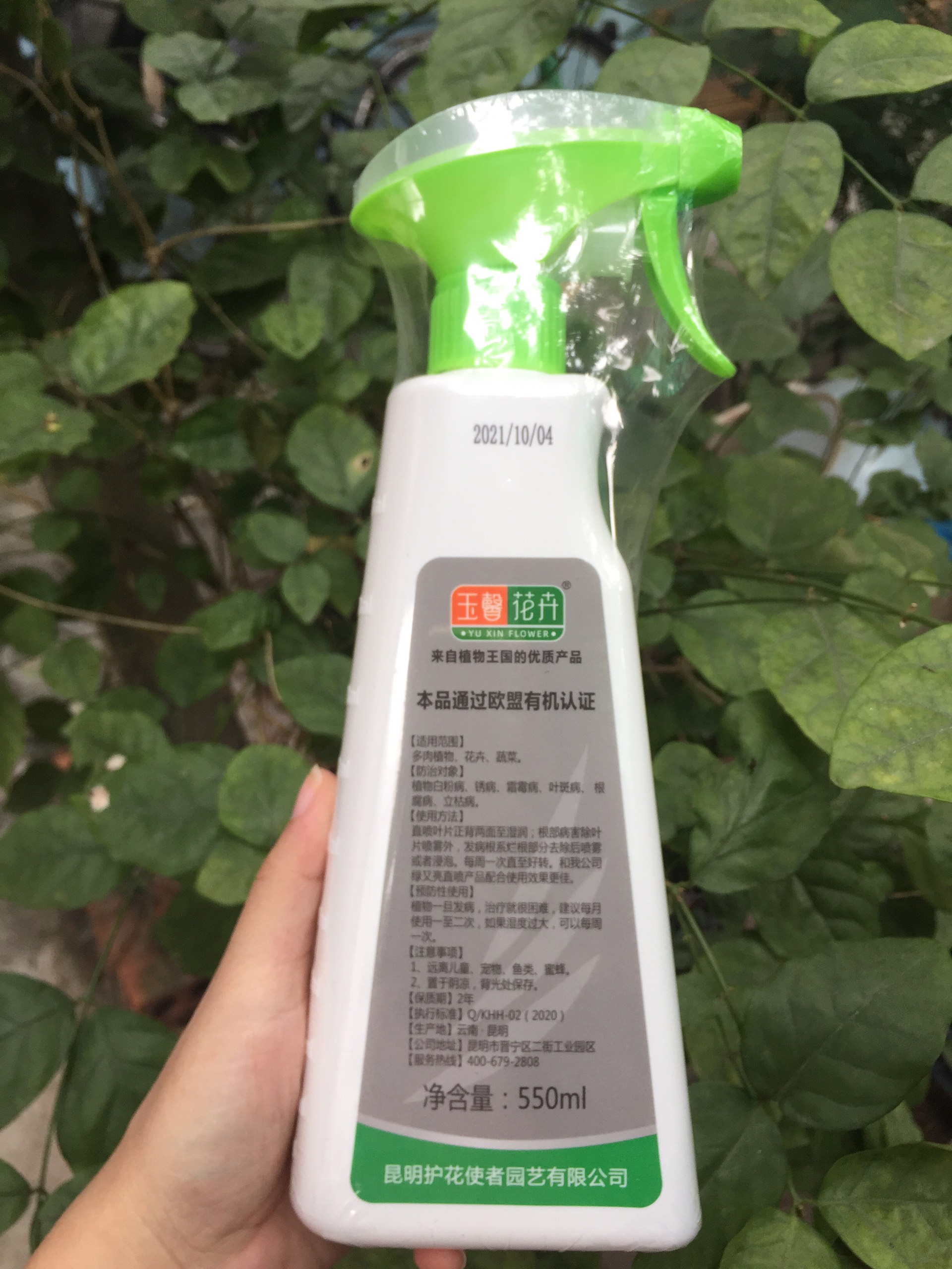 Xịt phòng trừ phấn trắng, gỉ sắt, sương muối, đốm lá, thối rễ, bạc lá cho sen đá