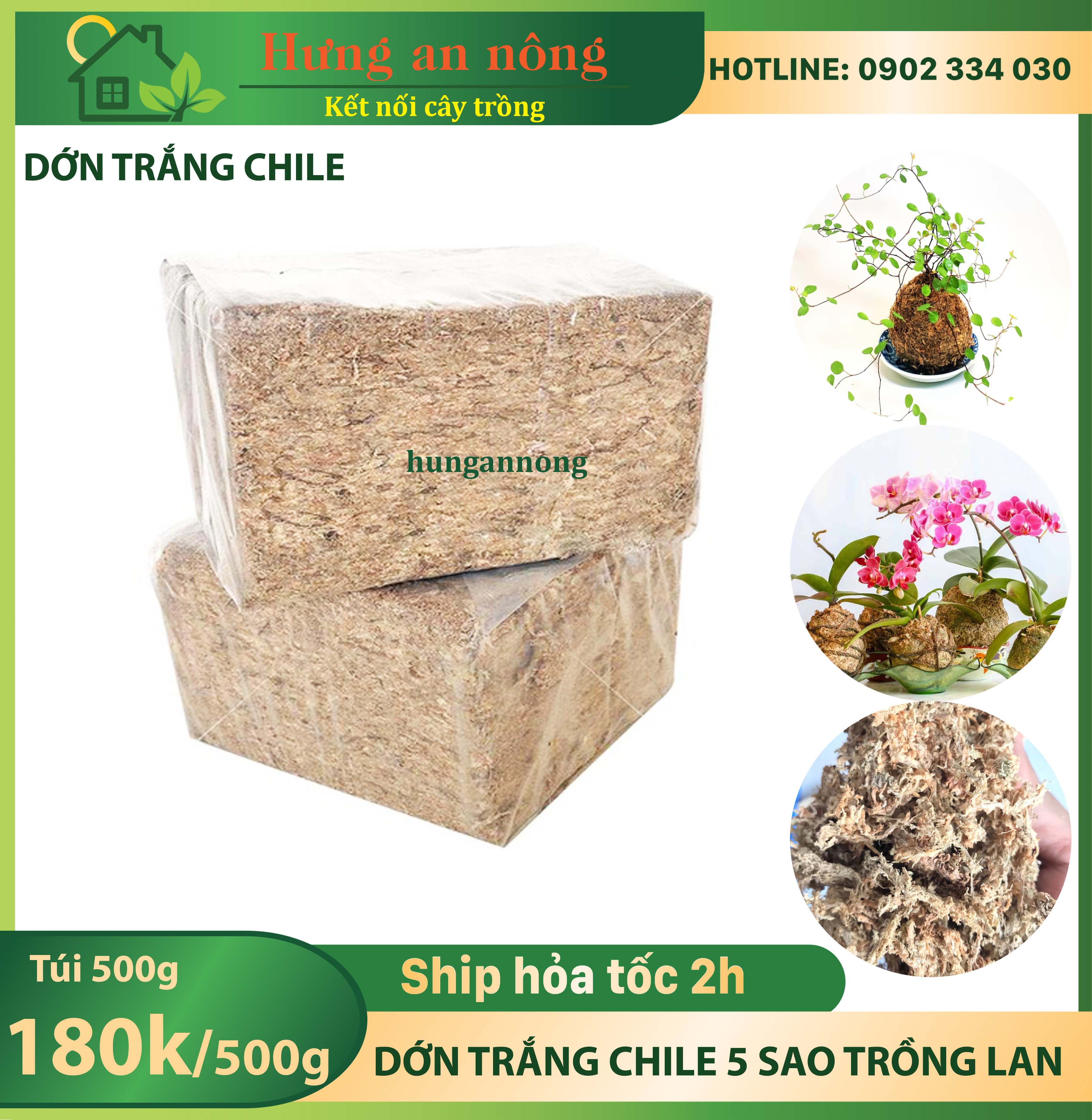 200g Dớn trắng Chile loại nhất, giá thể trồng lan trồng các loại kiểng lá