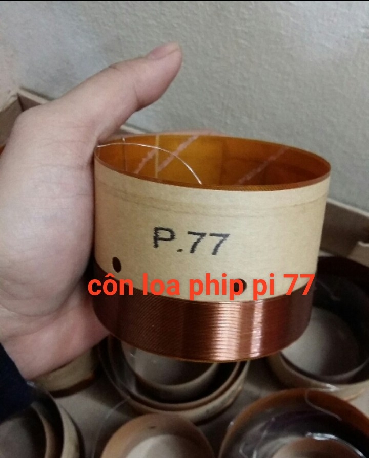 Côn loa phip 77 - 2 lớp
