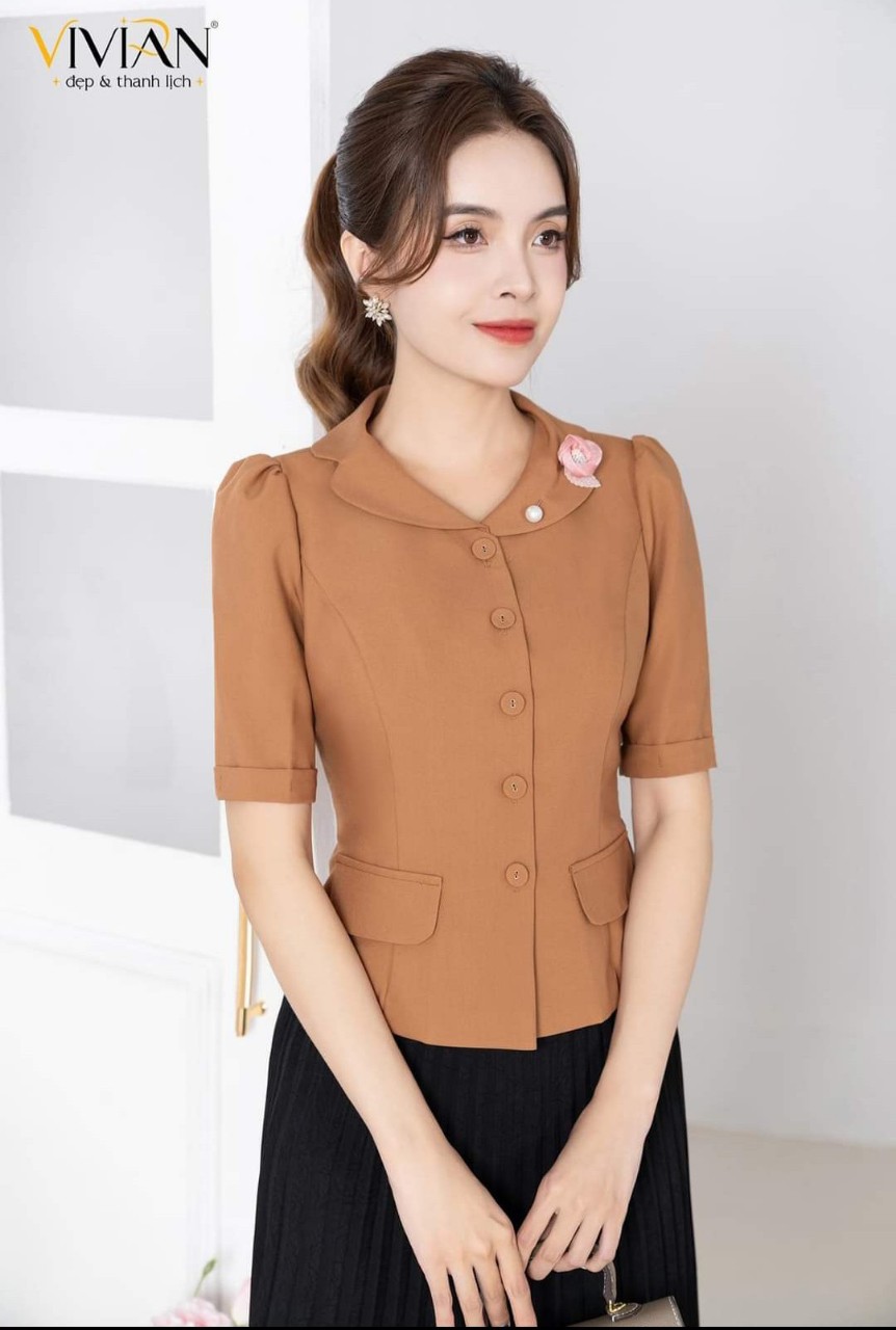Áo kiêu thanh lịch b0077