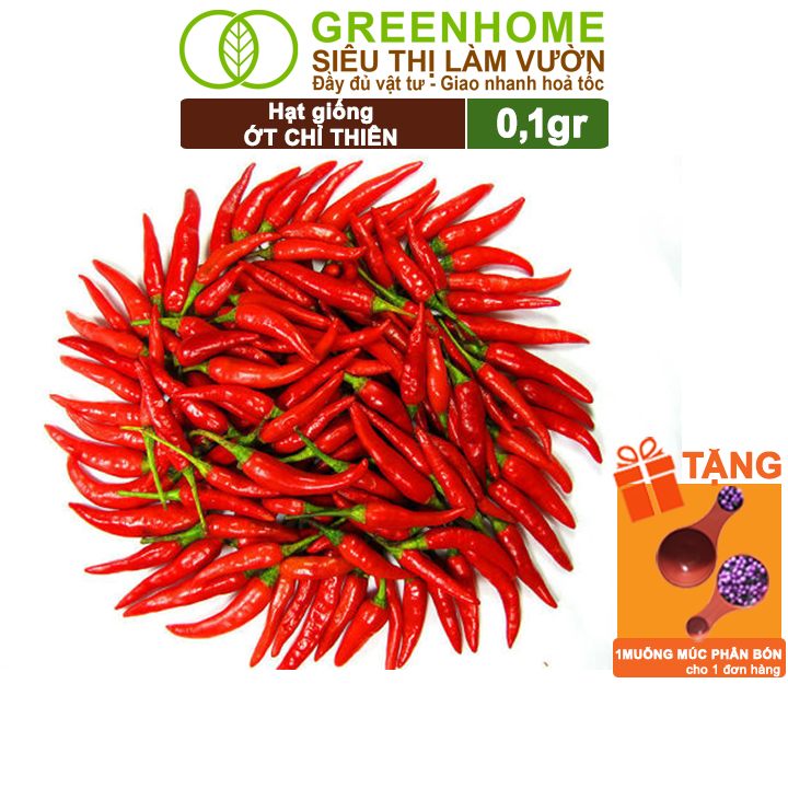 Hạt giống ớt chỉ thiên greenhome, gói 1gr, sai trái, siêu cay, dễ trồng quanh năm, nảy mầm cao, thu hoạch nhanh, năng su