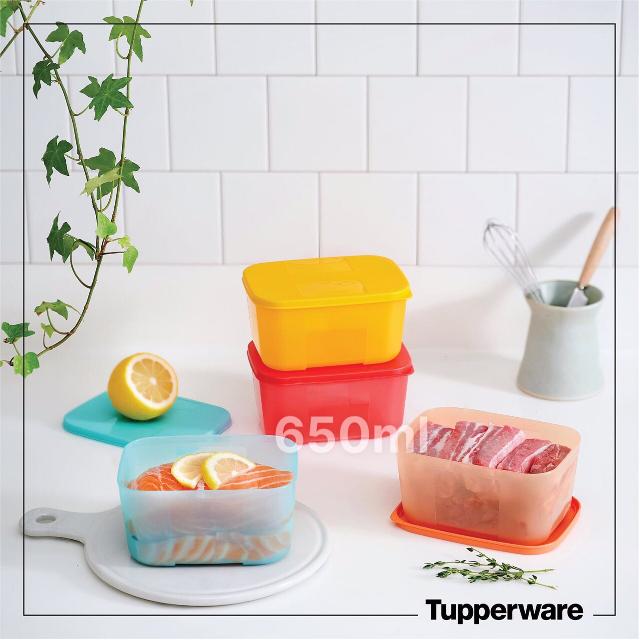 Tupperware official store - bộ hộp trữ đông freezer mate rainbow 4 màu lazada chính hãng 100%