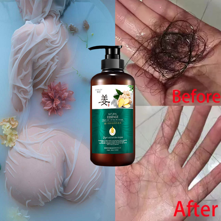 Gội đầu mọc tóc Dầu gội chống rụng tóc Dầu gội gừng 500ml Phương pháp cũ nuôi dưỡng tóc ngàn năm kích thích nang tóc giảm rụng tóc kích thích mọc tóc trộitươi mát lượng tóc tăng vọt