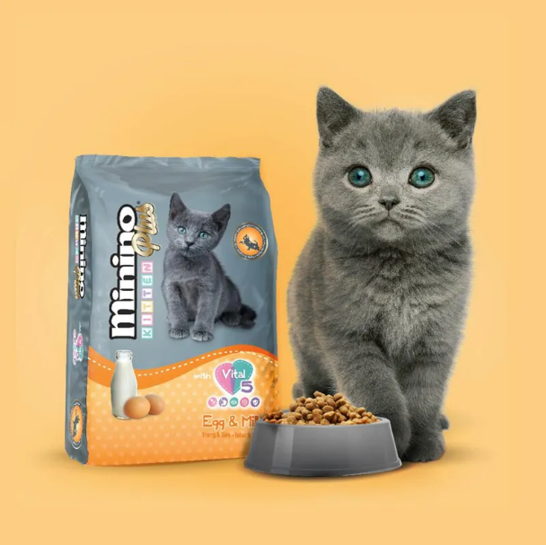 Thức ăn hạt cho mèo con Minino Yum Plus Kitten vị trứng và sữa 350gr
