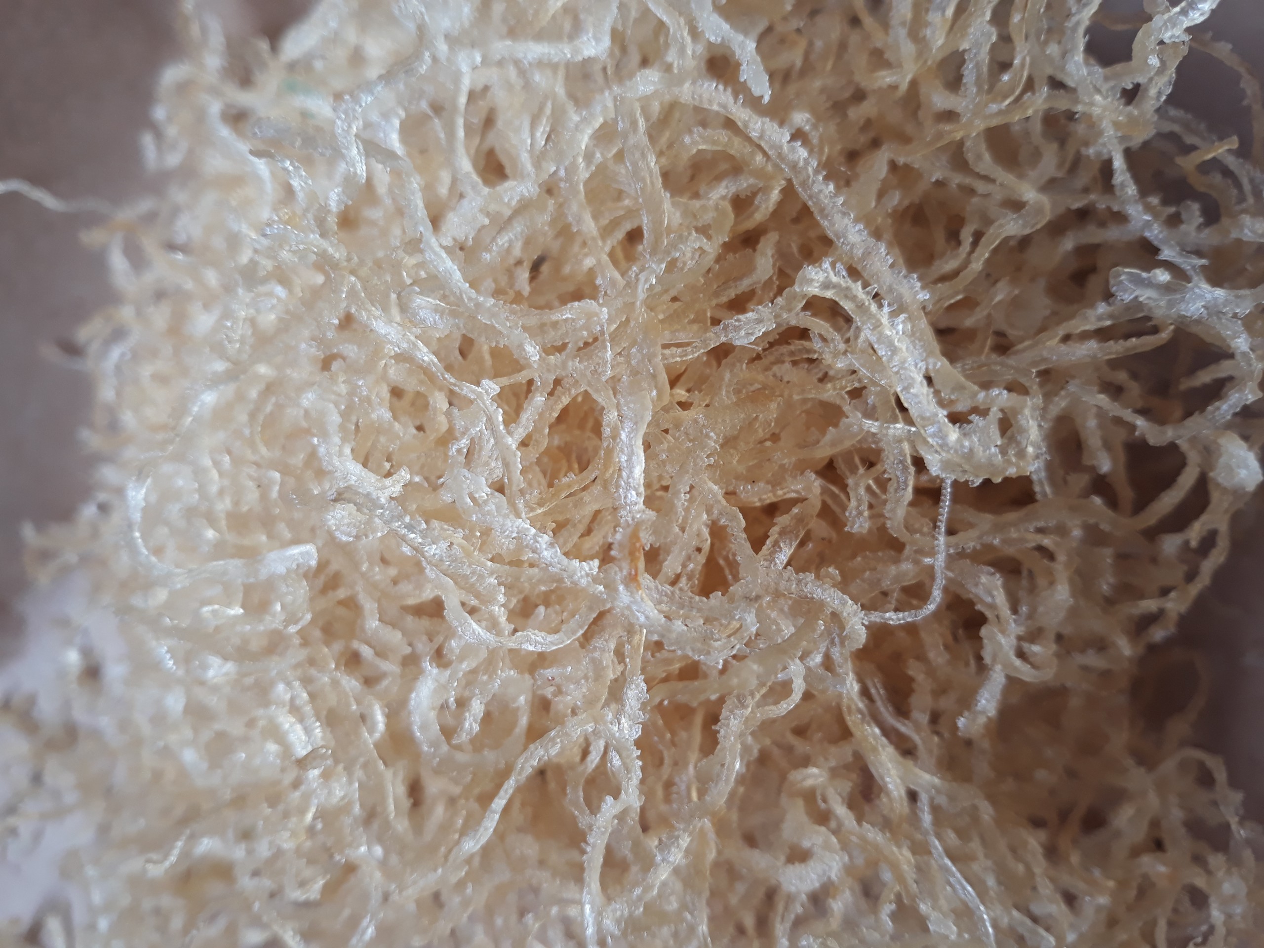 [HCM]BÌ CƠM TẤM SẤY KHÔ 0,5KG