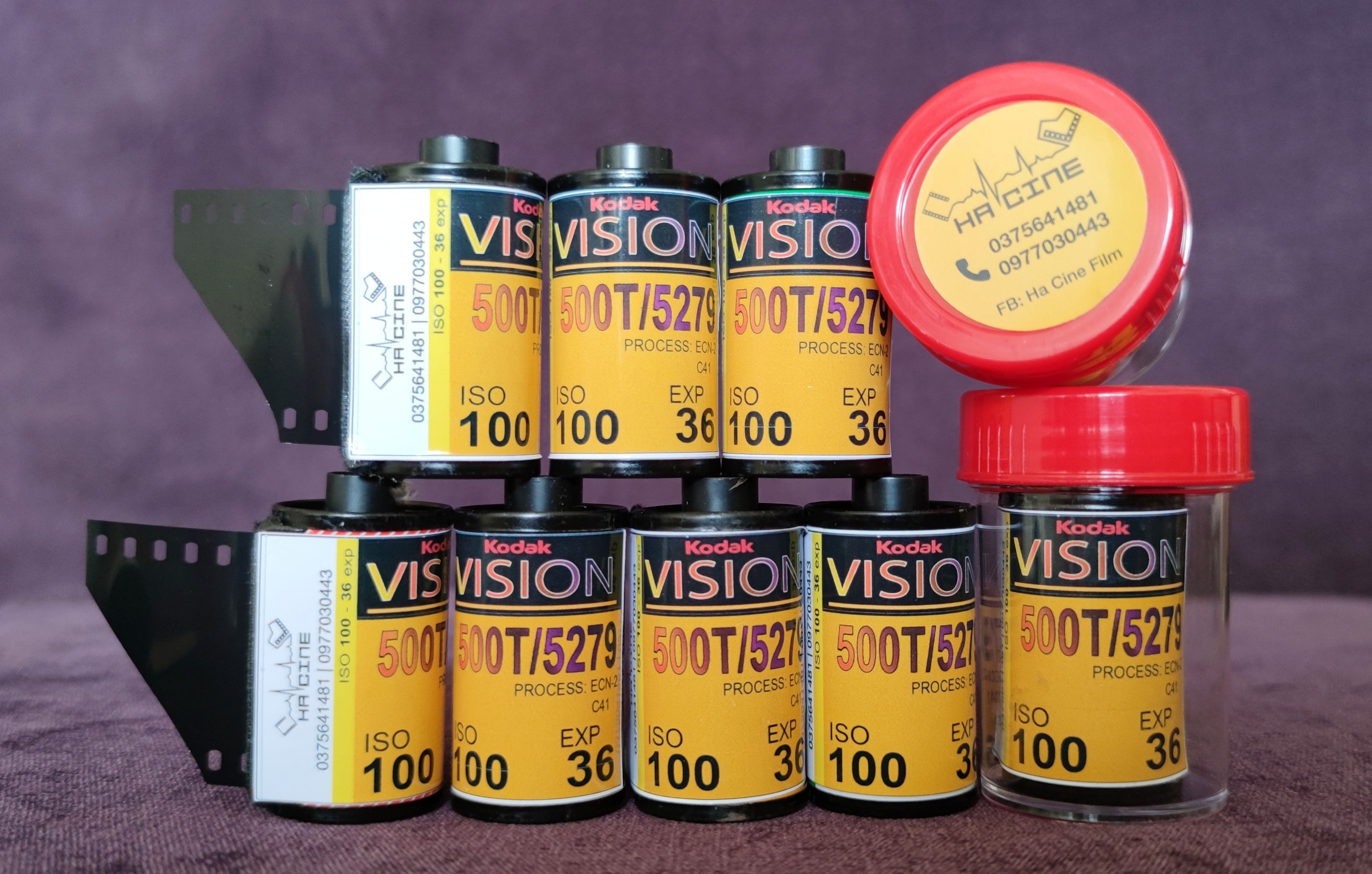 Kodak vision 500T (5279) - iso 100 - 36 kiểu - Chụp được máy PnS