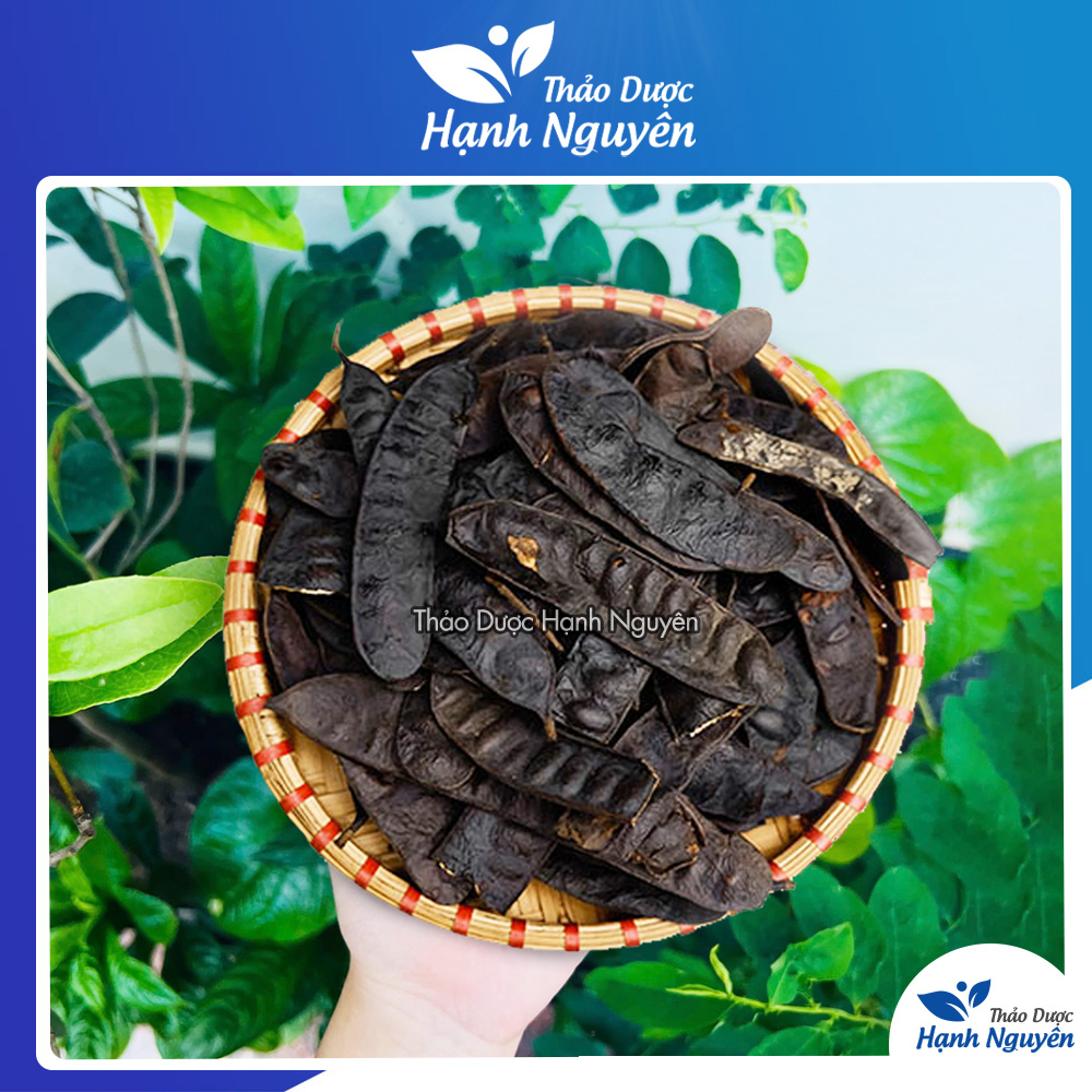 Trái bồ kết khô 500g giúp tóc chắc khỏe, bóng mượt - Thảo Dược Hạnh Nguyên