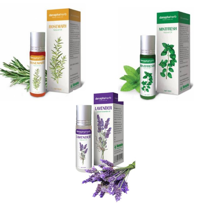 Combo Dầu gió bi lăn thảo dược 3 mùi Lavender Mint Fresh Rosemary