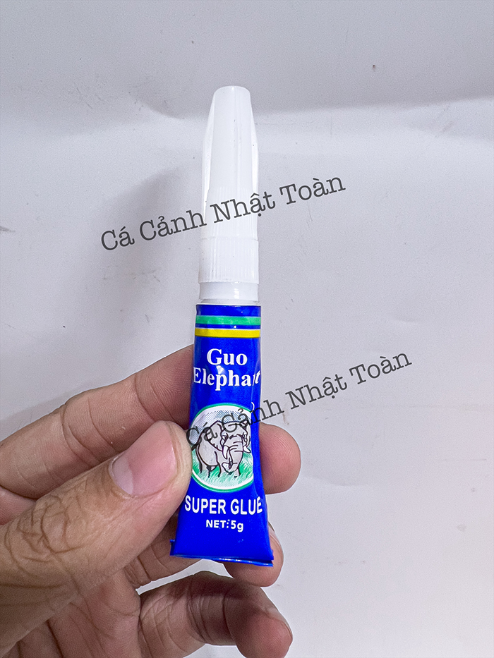 "hoàn tiền đến 10%" keo dán rêu cho cây thủy sinh