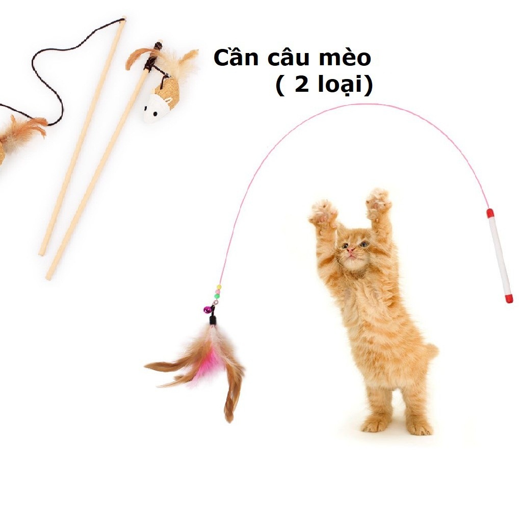 Đồ chơi cho mèo, cần câu chuột cần câu lông gà